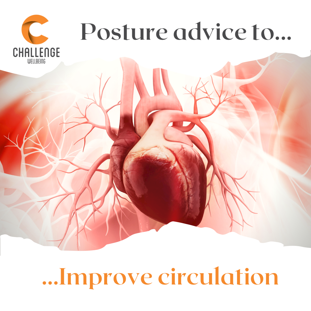 Posture & Circulation