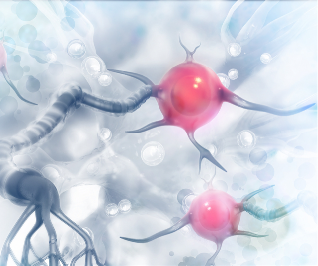 Hormones & Gut Health